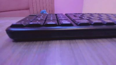valeriaortga live cam on Cam4