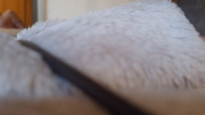 verbatim100 live cam on Cam4