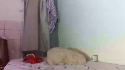 verolove2 live cam on Cam4