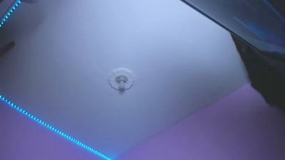 victoria_x live cam on Cam4
