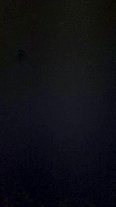 viikealex live cam on Cam4