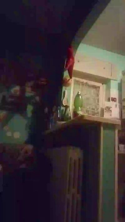 vogliaporcellin live cam on Cam4