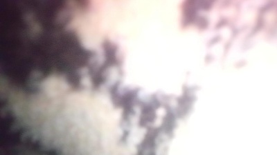 vujade live cam on Cam4