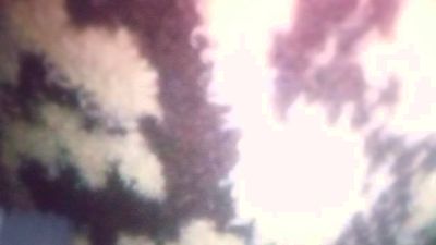 vujade live cam on Cam4