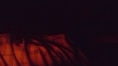 vujade live cam on Cam4