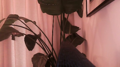 vvoys5 live cam on Cam4