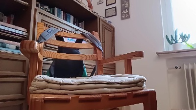 weed_whacker live cam on Cam4