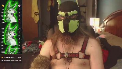 werewolf1987 live cam on Cam4
