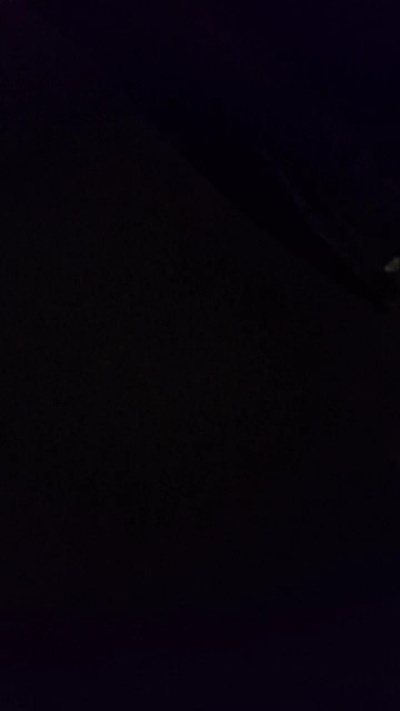 werner60sexy live cam on Cam4