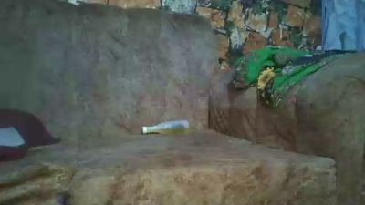 whinebby live cam on Cam4