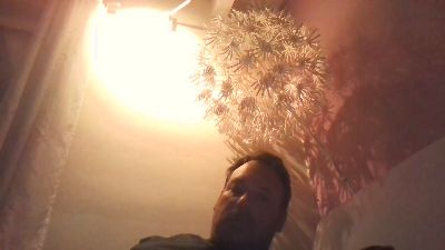 wieauch live cam on Cam4