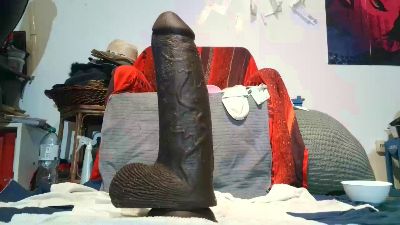 wildassholepub live cam on Cam4
