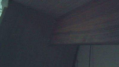 Preview of wildbrdick