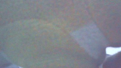 wildbrdick live cam on Cam4