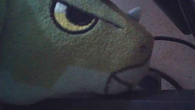 wildbrdick live cam on Cam4