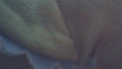 wildbrdick live cam on Cam4