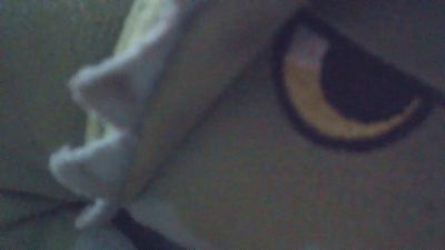 wildbrdick live cam on Cam4