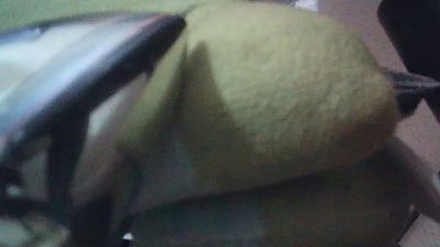wildbrdick live cam on Cam4