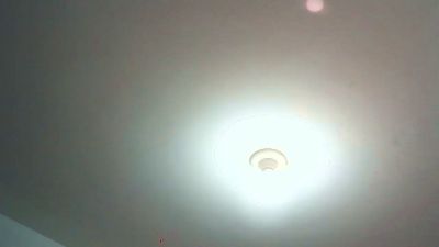 wildbrdick live cam on Cam4