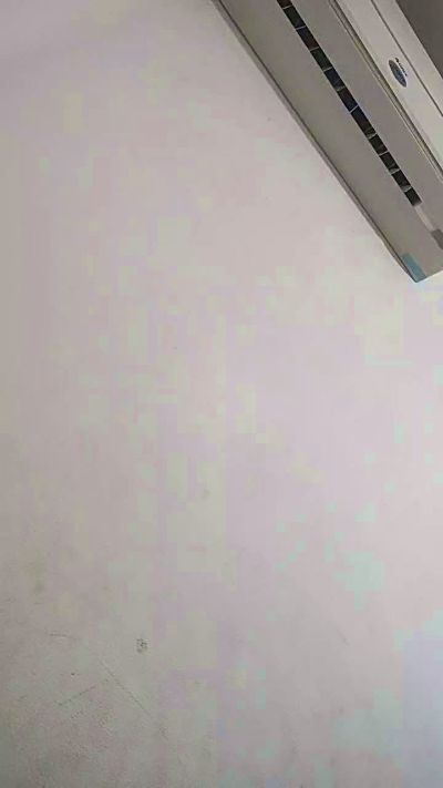 wildbrdick live cam on Cam4