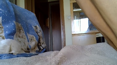 wleccare1 live cam on Cam4