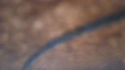 xRiven2099x live cam on Cam4