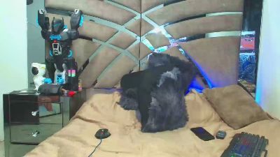 xanderstone00 live cam on Cam4