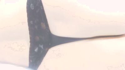 xihisshi live cam on Cam4