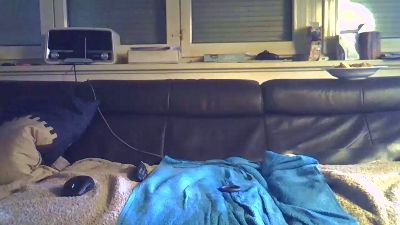 xschwanz live cam on Cam4