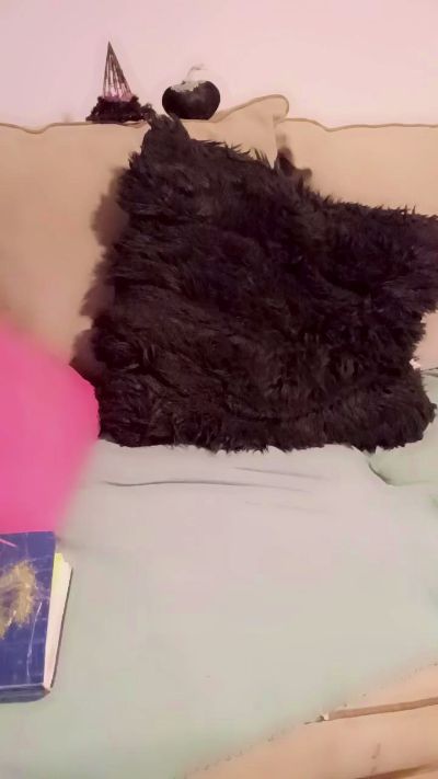xxxangel43 live cam on Cam4
