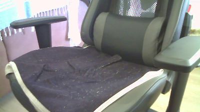 xxxvikingo live cam on Cam4