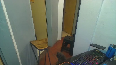 yosenm live cam on Cam4