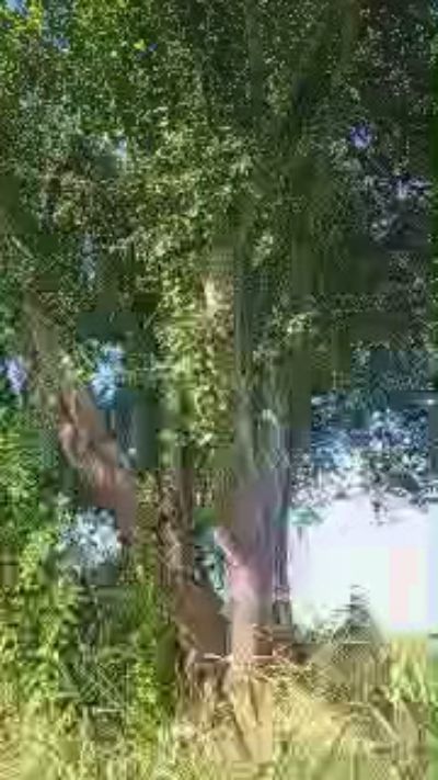 yougonnasexmeup live cam on Cam4