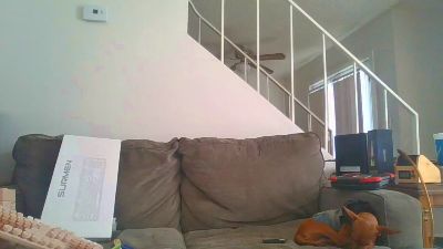 yourAwesomeness live cam on Cam4