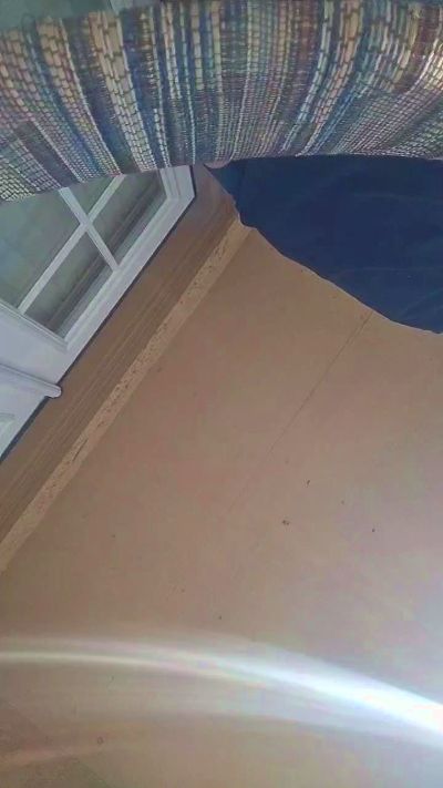 yourAwesomeness live cam on Cam4