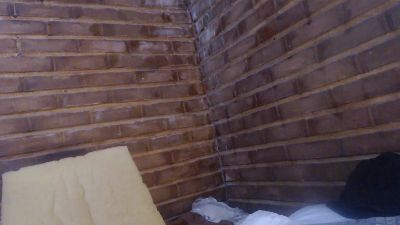 yvy_zotz live cam on Cam4