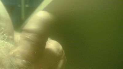 zaboski live cam on Cam4