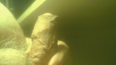 zaboski live cam on Cam4