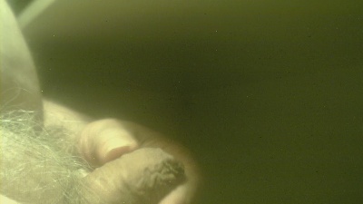 zaboski live cam on Cam4
