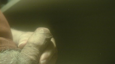 zaboski live cam on Cam4