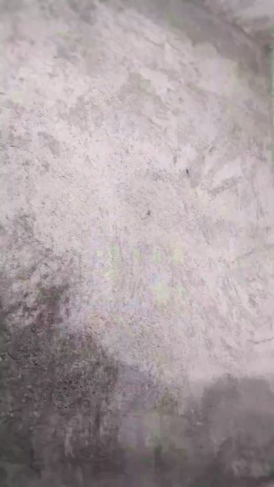 zalasarvl live cam on Cam4