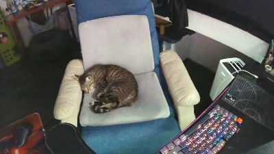 zeenfan Live Cam on Cam4