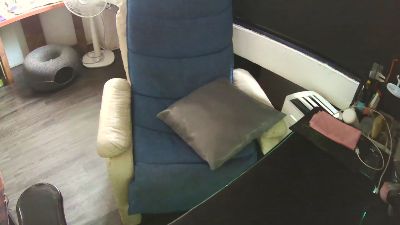 zeenfan live cam on Cam4