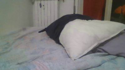 zena_xxx live cam on Cam4