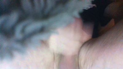 zenomania live cam on Cam4