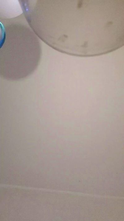 zeousse24 live cam on Cam4