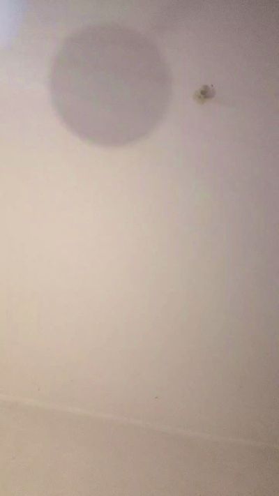 zeousse24 live cam on Cam4