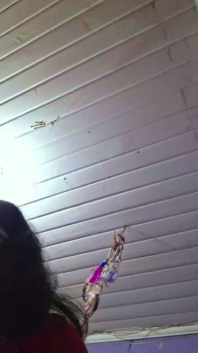 zorrita1 live cam on Cam4