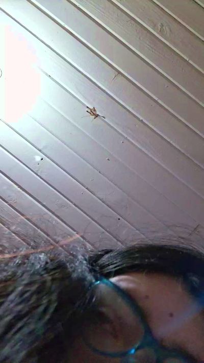 zorrita1 live cam on Cam4