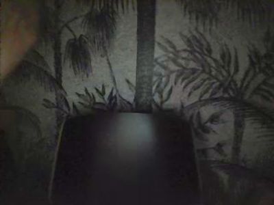 zpierre74 live cam on Cam4